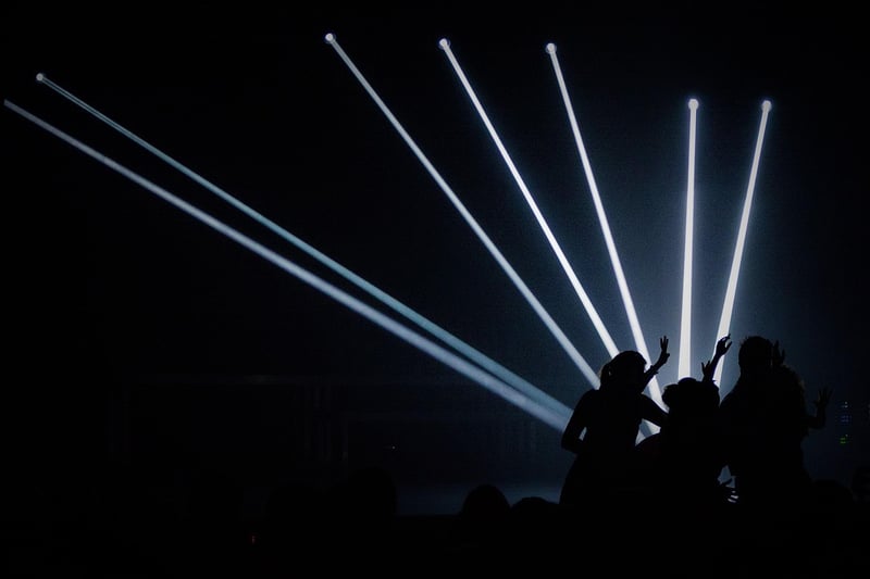 Celebrity Concert Performance