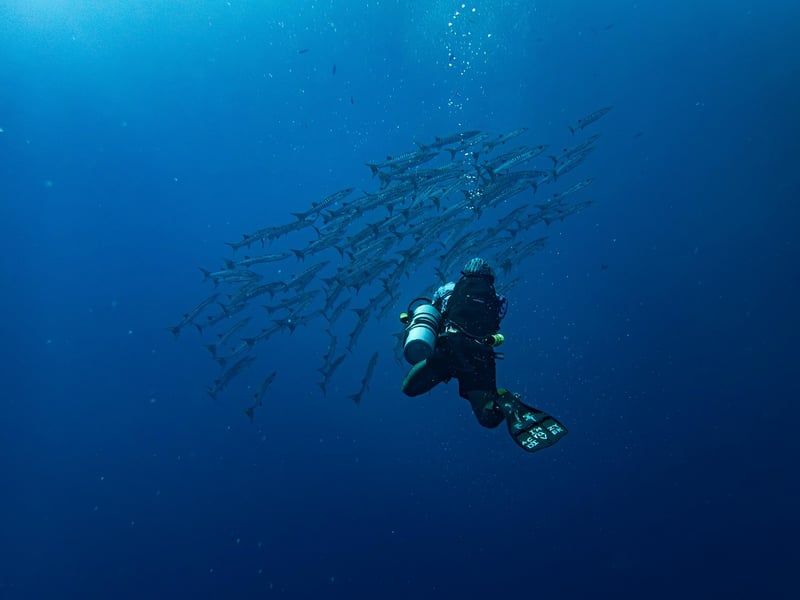 Shipwreck Diving